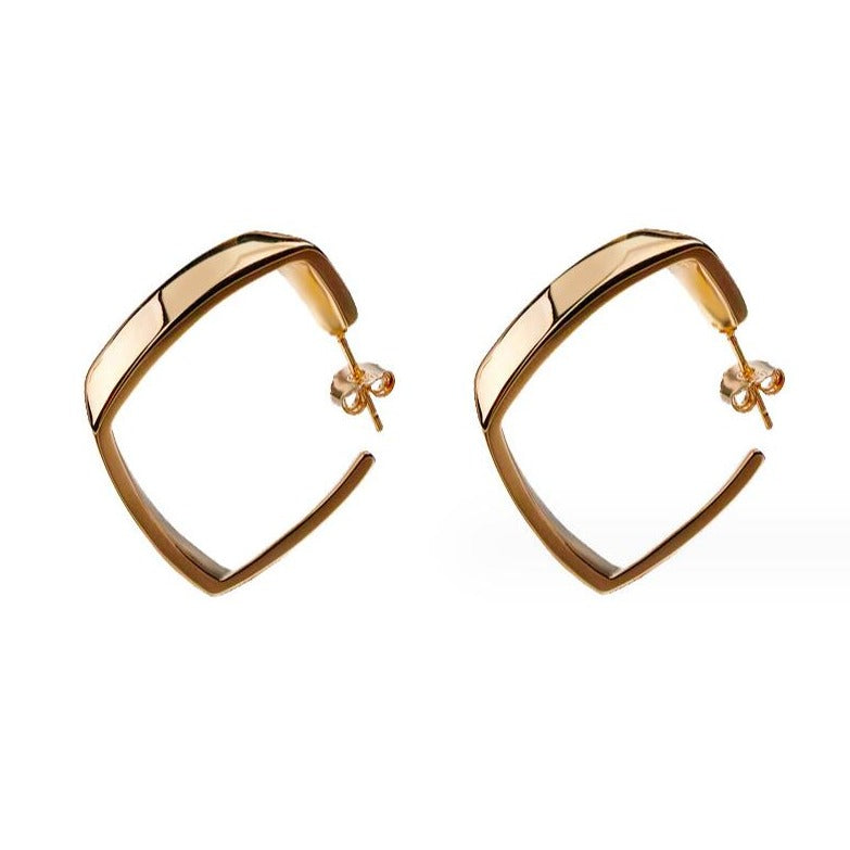 Luxe Loops / Hoop Earrings