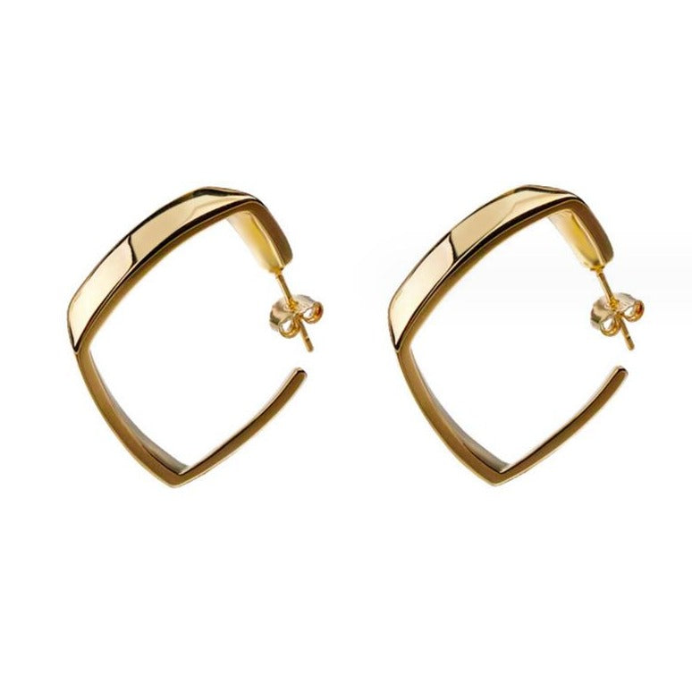 Luxe Loops / Hoop Earrings