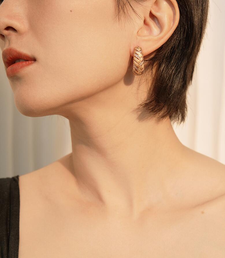 Horn Brushed Earring