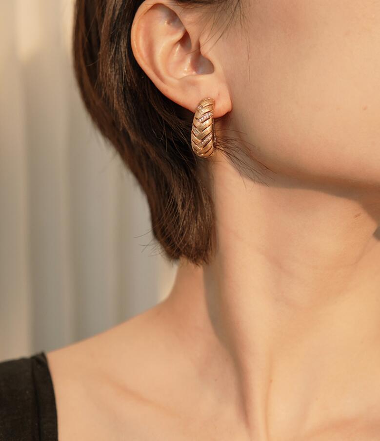 Horn Brushed Earring